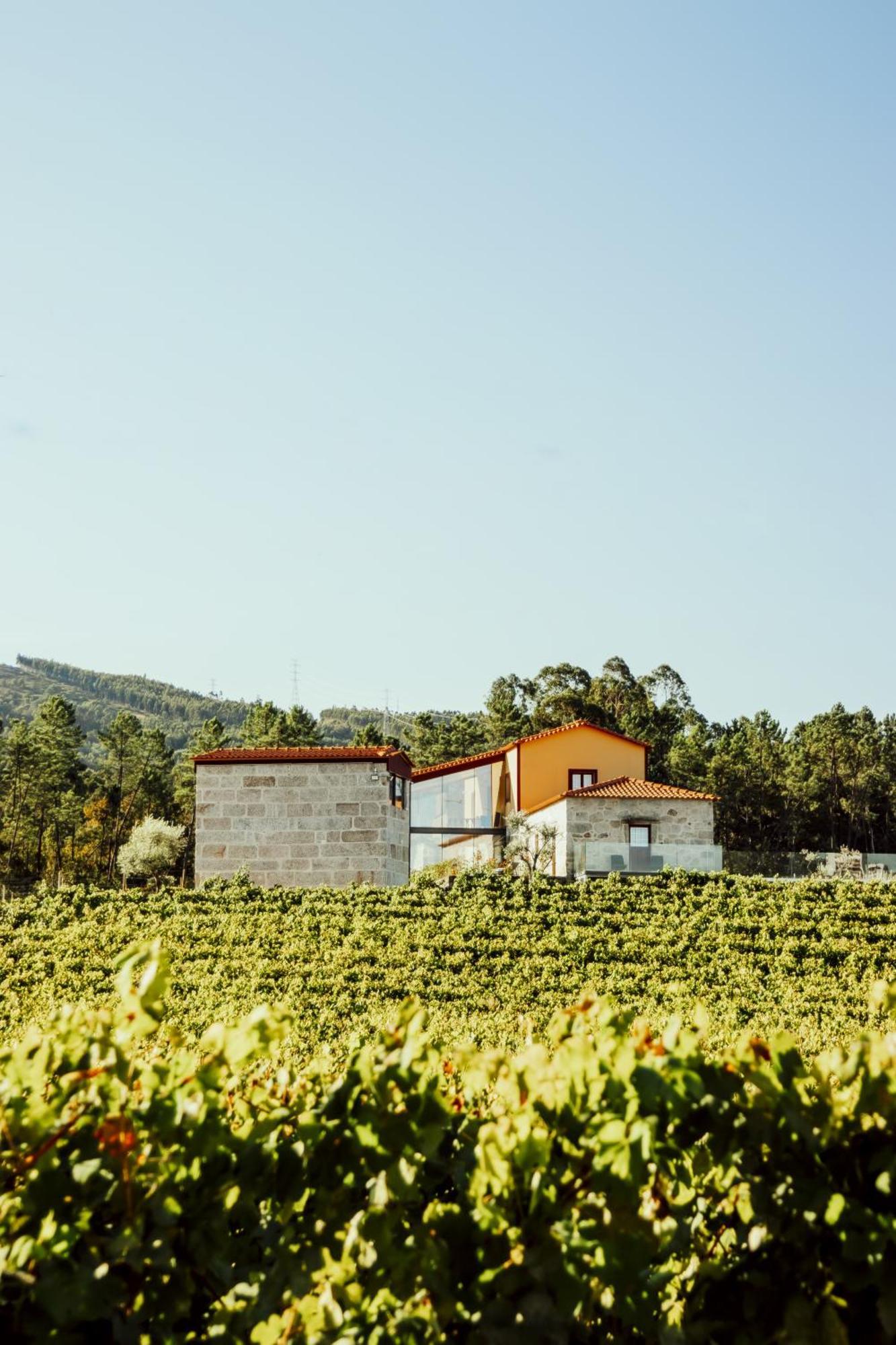 Quinta Areias - Solar Da Pena Farm stay *