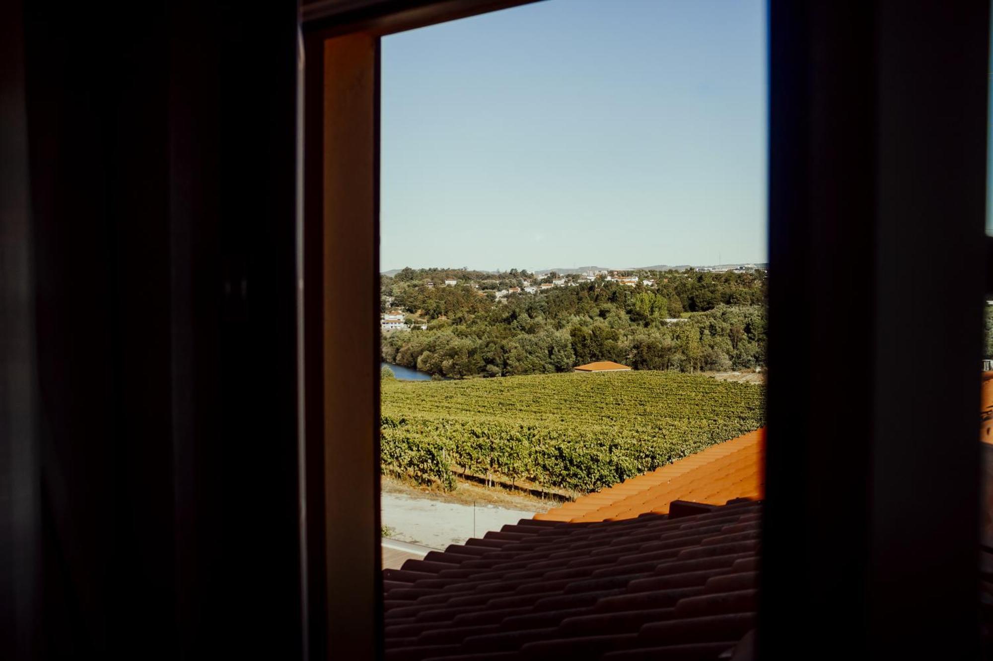Quinta Areias - Solar Da Pena Farm stay Braga